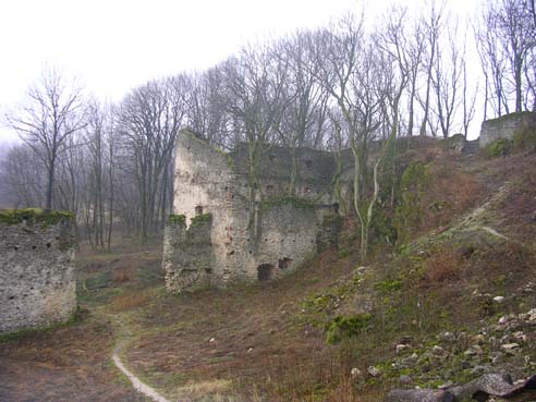 View larger image View larger image