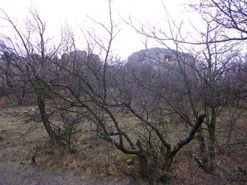 View larger image View larger image