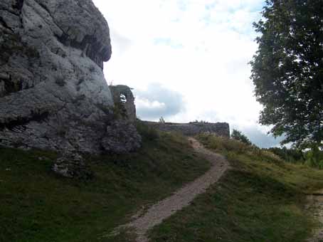 View larger image View larger image