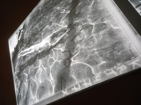 View larger image View larger image