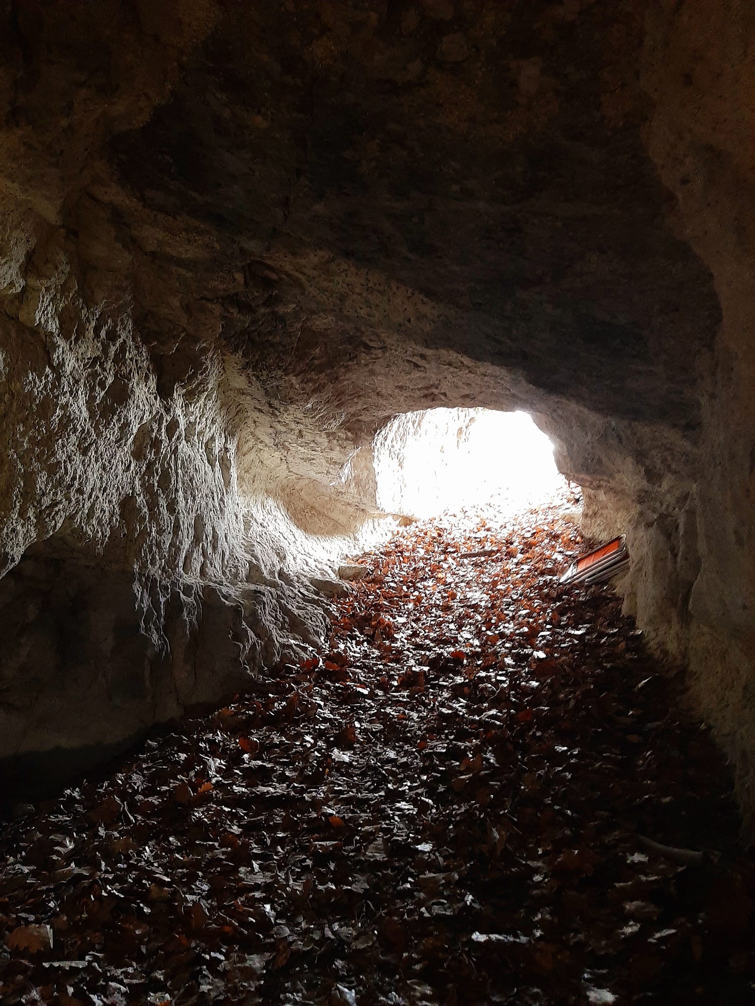 View larger image View larger image