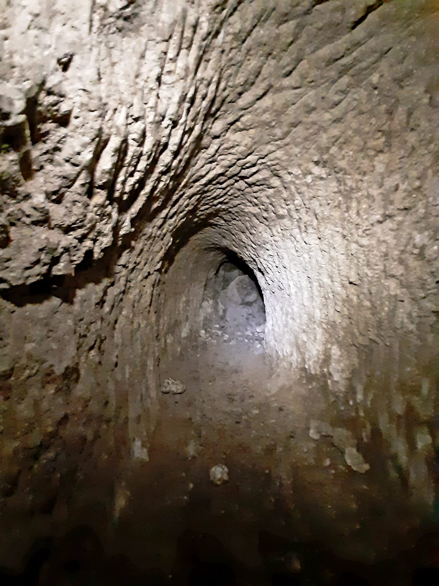 View larger image View larger image