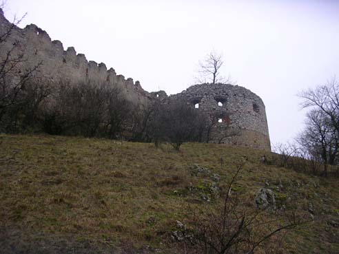 View larger image View larger image