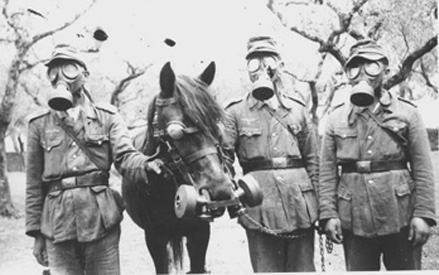 View larger image View larger image