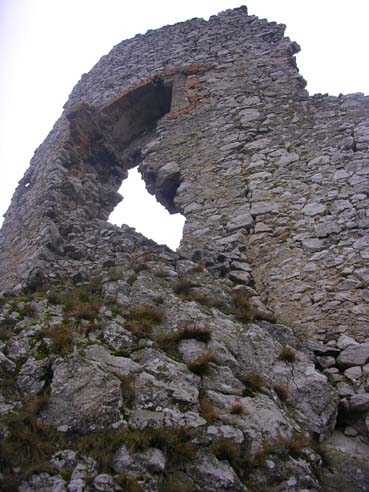 View larger image View larger image