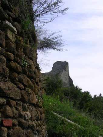 View larger image View larger image