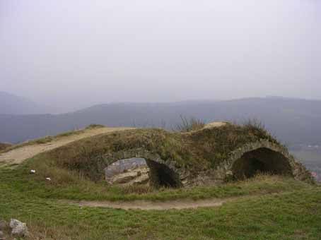 View larger image View larger image