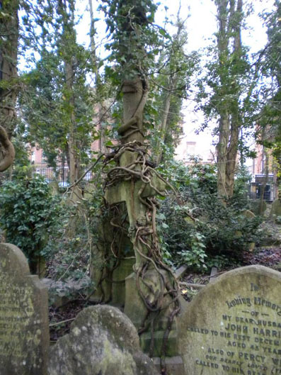 View larger image View larger image