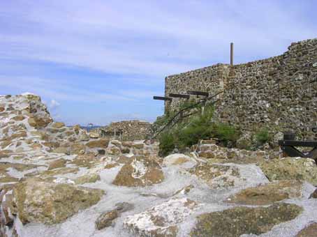 View larger image View larger image