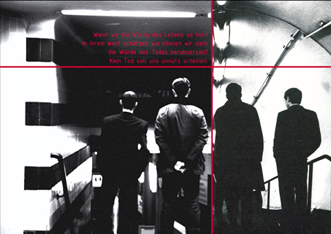 View larger image View larger image