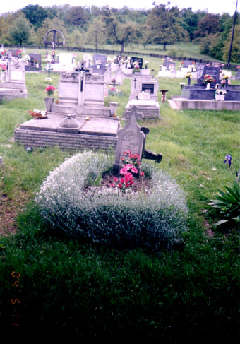 View larger image View larger image