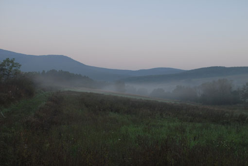 View larger image View larger image