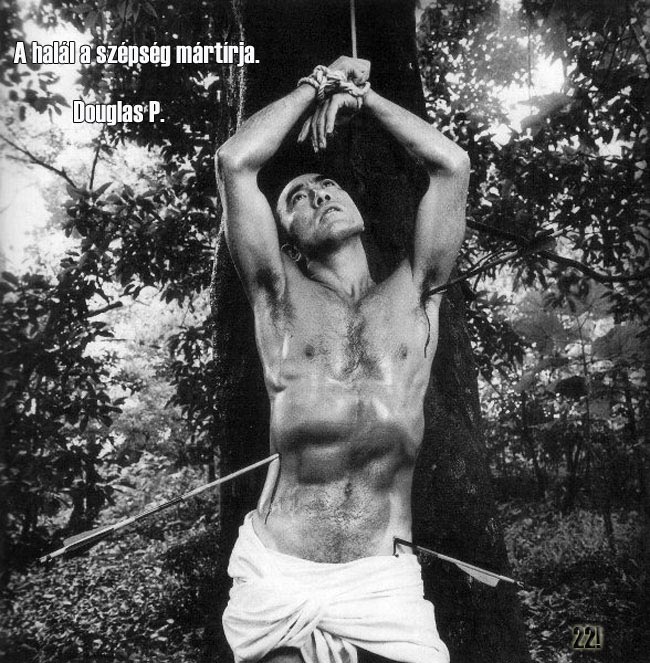 View larger image View larger image