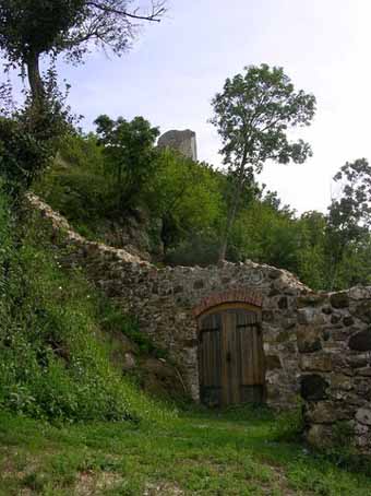 View larger image View larger image