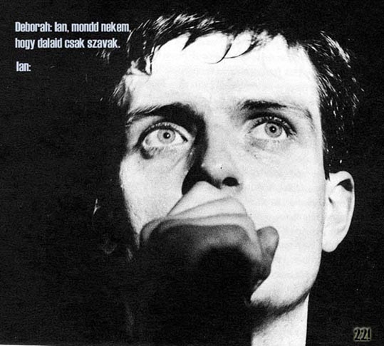 View larger image View larger image