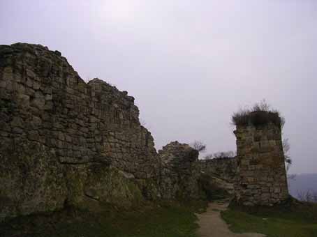 View larger image View larger image