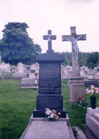 View larger image View larger image