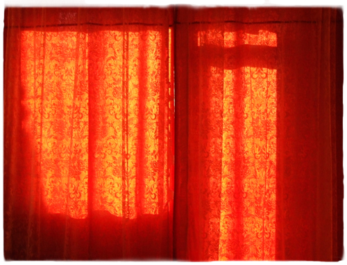 View larger image View larger image