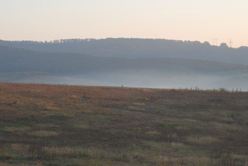 View larger image View larger image