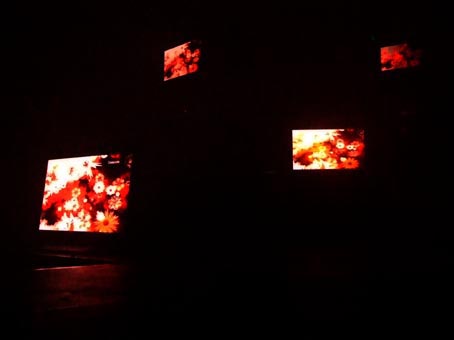 View larger image View larger image