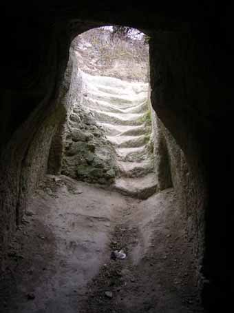 View larger image View larger image