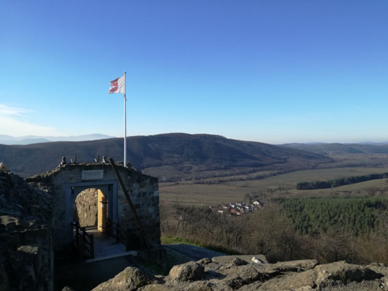 View larger image View larger image