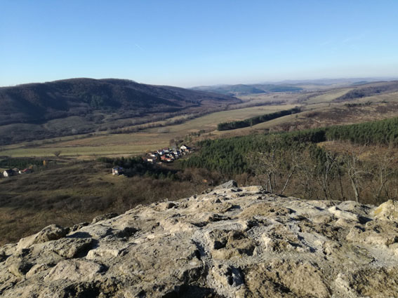 View larger image View larger image